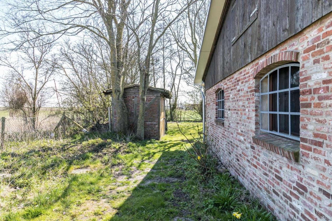 Ferienwohnung Deichgraf 1 Friedrichskoog Exterior foto